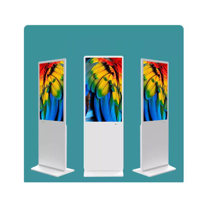 Panello dimensione 49 pollici touch screen Information Kiosk con pannello di vetro rinforzato